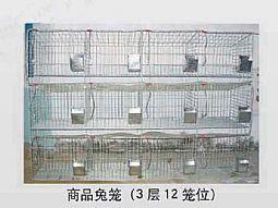 兔笼 兔笼生产商 安平兔笼 兔子笼价格 松贺兔笼厂 安装兔笼