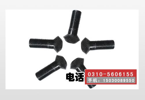 元宝丝，元宝螺丝，元宝螺栓