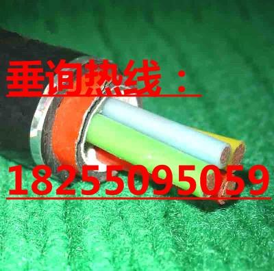 （金牌厂家）FF46-22耐高温电缆（荐）安徽耐高温电缆厂家