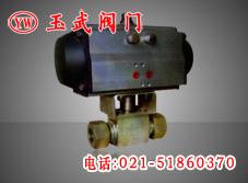 气动高压球阀 卡套式气动高压球阀Q691N