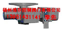 2SA3012，2SA3020，阀门电动执行机构