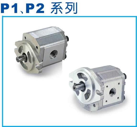 P101RP01GT齿轮泵、2GG1P05R齿轮泵