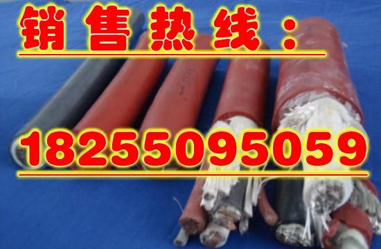YGC硅橡胶电缆（厂家）_天长市康泰仪表电缆厂