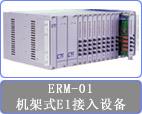 ERM01-E1-U/V35 E1线路板