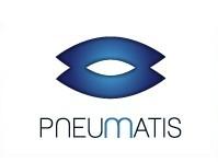 法国Pneumatis空气弹簧气囊