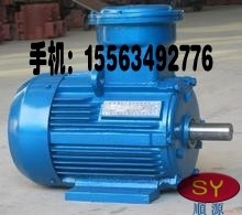 专注研发YBK2系列煤矿用三相异步电动机