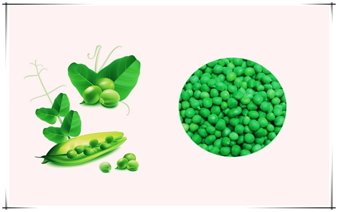 豌豆淀粉设备-规模化生产优质豌豆淀粉的现代化设备