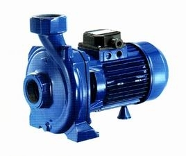 CH150中高流量园艺供水离心泵