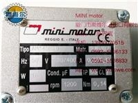 mini电机AM145P2T，出厂编号：916397