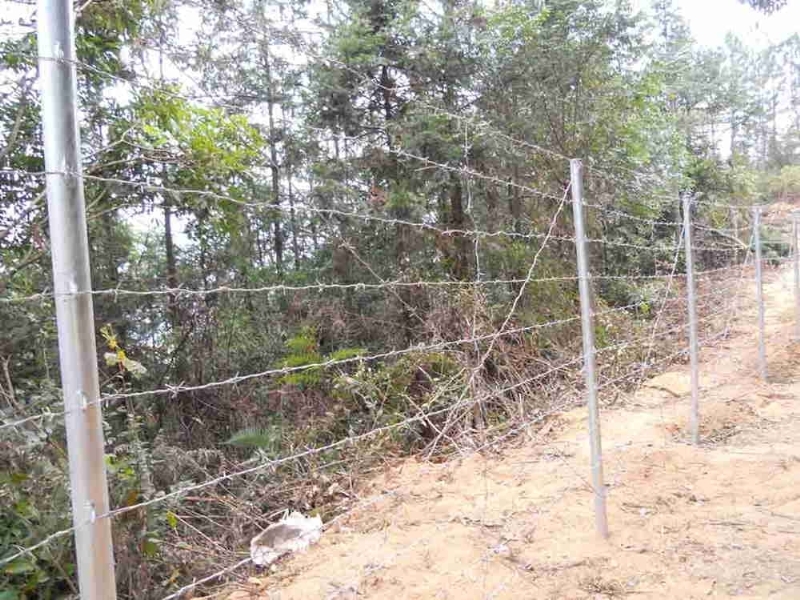 安定护栏网订做，安定果园铁丝网，三亚刺绳防护网