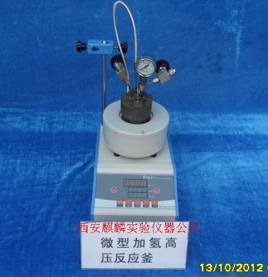 微型高压反应釜-25ml