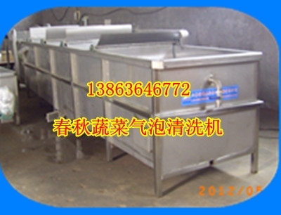 菠菜气泡清洗机水果清洗机