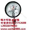 供（维尔特牌）WSSX电接点双金属温度计
