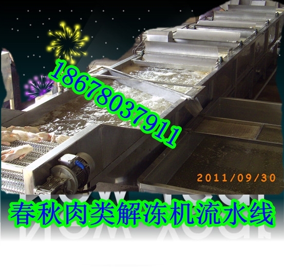 肉块解冻机，4分牛肉块解冻机，快速化冰解冻设备