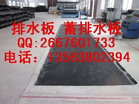 绿化排水板  SX永立优质排水板
