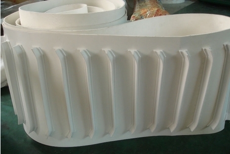 水产品pvc输送带