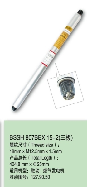 胜动12V190火花塞