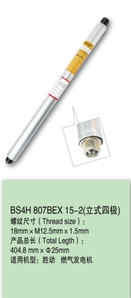 胜动BS4H 807BEX 15-2 190火花塞