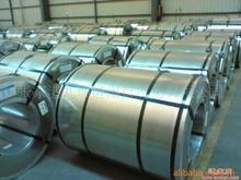 钢卷  镀锌  彩涂   冷轧