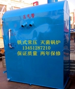 铁式常压卧式灭菌锅炉 湖北随州蒸汽锅炉 食用菌灭菌锅炉