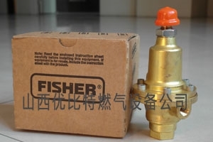 FISHER 1301F-3厂家1301G价格1301产品图