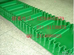 浙江绿色挡板输送带图3