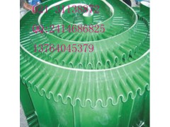 山东绿色pvc输送带图3