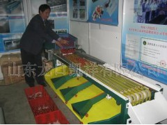 凯祥 樱桃选果机 全自动不伤果实图2