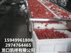 凯祥 樱桃选果机 全自动不伤果实图3