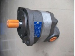 供应CB-FC16-FL齿轮泵图1