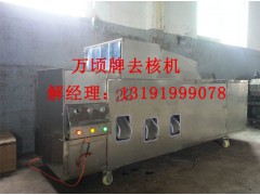 太平果去核机图3