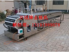 南果梨去核机图2