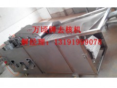 南果梨去核机图3