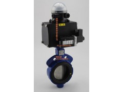 keystone F920CEE2 F990T620蝶阀图3