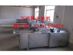 红枣去核机红枣叼核机图2