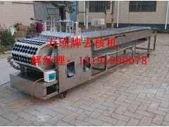 红枣去核机红枣叼核机图3