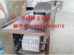 大枣除核机大枣脱核机图2