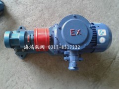 2CY系列齿轮油泵图1