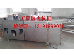 樱桃去核切瓣机图2