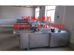 大枣去核切片机图2