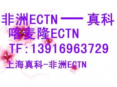 喀麦隆ECTN号码图1