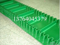 浙江绿色pvc挡板输送带图3