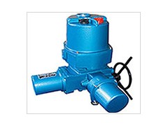 Q120一24W/T体化调节型电动执行器QT120图1