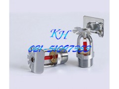 边墙式喷头(侧喷)ZSTB-15图1