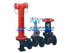 地上式水泵接合器|SQX100|喷淋接合器图1