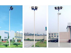 【重庆路灯厂：总经销】图1