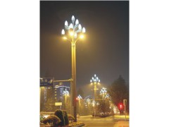 【成都玉兰灯厂||大图】图1