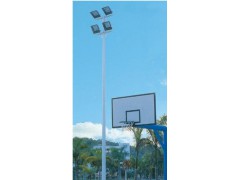 四川路灯厂家[10M]供应图1