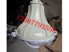 厂家供应nB53-N100b1防爆灯 壁式30°图1