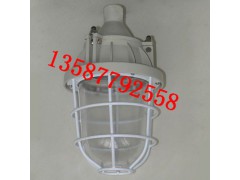 厂家供应隔爆型防爆灯BAD51-N110b1 110W图1